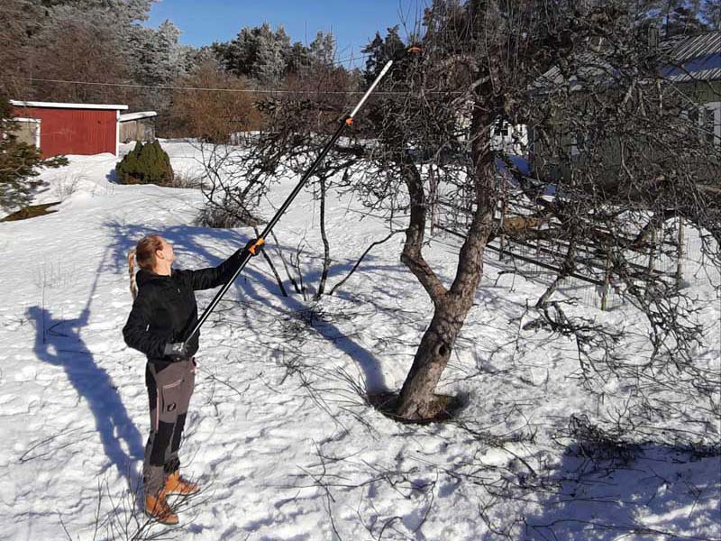 Viheralueiden ylläpito